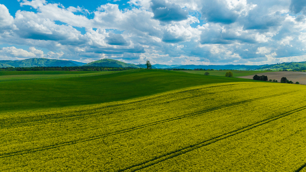 Aerial view of rolling green and yellow rapeseed fields under a cloudy blue sky with hills in the distance Pribor Moravian Silesian Region Czechia. Aerial view of rolling green and yellow rapeseed fields under a cloudy blue sky with hills in the distance Pribor Moravian Silesian Region Czechia.