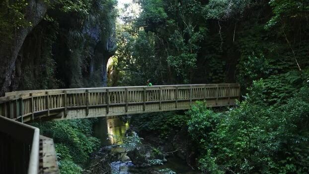 View of a wooden boardwalk over a stream New Zealand.