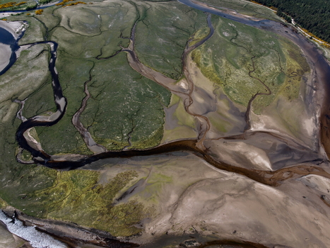 Aerial view of Findhorn Bay with winding water channels sandbanks and green marshland Findhorn Scotland United Kingdom. Aerial view of Findhorn Bay with winding water channels sandbanks and green marshland Findhorn Scotland United Kingdom.