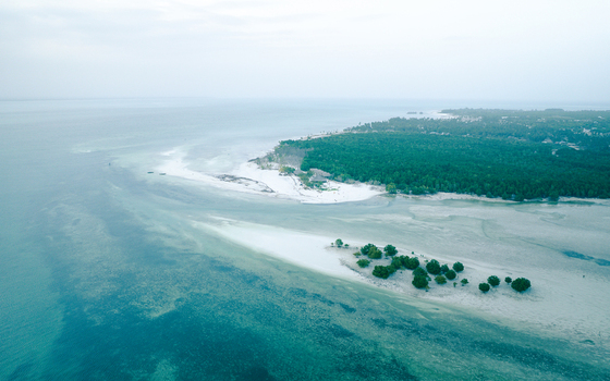 Aerial view of the coastline with its contrasting turquoise waters meeting the bright sands backed by dense green vegetation Paje Unguja South Region Tanzania.