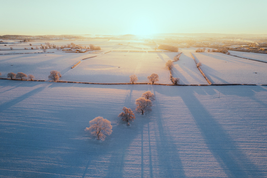 Aerial view of snow covered fields with bare trees casting long shadows under the soft golden light of a winter sunrise in Marston England United Kingdom. Aerial view of snow covered fields with bare trees casting long shadows under the soft golden light of a winter sunrise in Marston England United Kingdom.