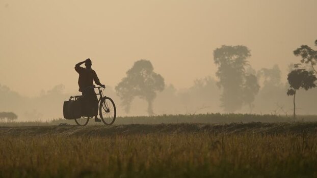View of a man riding a bicycle through misty fields Bangladesh. View of a man riding a bicycle through misty fields Bangladesh.