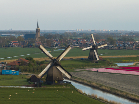 Aerial view of traditional Dutch windmills situated in a rural landscape with vibrant tulip fields a winding canal and a small village in the Netherlands. Aerial view of traditional Dutch windmills situated in a rural landscape with vibrant tulip fields a winding canal and a small village in the Netherlands.