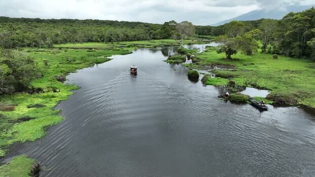 Aerial view of Rawa Bento wetland in Gunung Tujuh Indonesia. Aerial view of Rawa Bento wetland in Gunung Tujuh Indonesia.