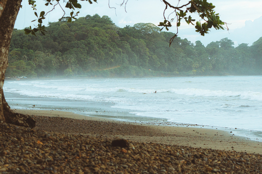 View of a serene beach with gentle waves rolling onto a pebbly shore framed by lush tropical forest and overhanging tree branches in Costa Rica.