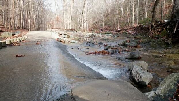 View of a stream at Scott s Run Nature Preserve United States. View of a stream at Scott s Run Nature Preserve United States.