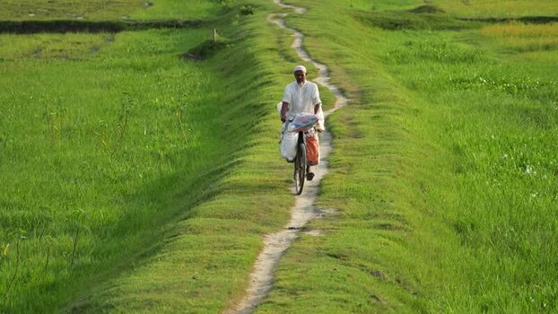 View of a man riding a bicycle through green fields in Bangladesh. View of a man riding a bicycle through green fields in Bangladesh.