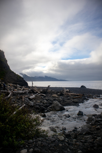 View of the rugged Lost Coast shoreline with driftwood a rocky beach and a stream flowing into the Pacific Ocean under a cloudy sky in Humboldt County California United States.