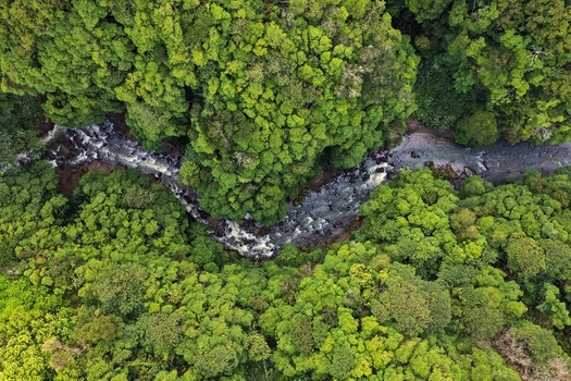 Aerial view of the Cascata da Ribeira Quente stream winding through a dense tropical forest with lush green canopy and rocky riverbed Ribeira Quente Azores Portugal. Aerial view of the Cascata da Ribeira Quente stream winding through a dense tropical forest with lush green canopy and rocky riverbed Ribeira Quente Azores Portugal.