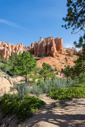 View of the iconic hoodoos and rock formations at Bryce Canyon National Park featuring pine trees and a clear blue sky Utah United States.