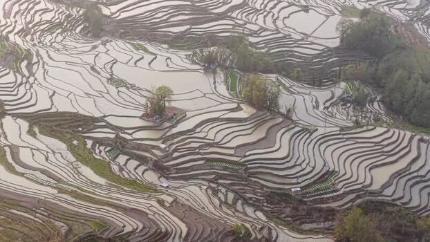 Aerial view of rice terraces in Yuanyang China.