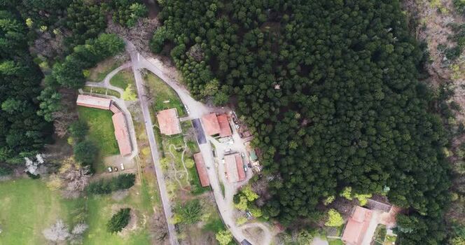 Aerial view of historic buildings nestled in a dense forest Italy. Aerial view of historic buildings nestled in a dense forest Italy.