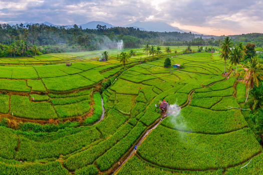 Aerial view of Taba Tembilang rice terraces with lush green paddies small huts and irrigation channels in Arga Makmur Bengkulu Indonesia. Aerial view of Taba Tembilang rice terraces with lush green paddies small huts and irrigation channels in Arga Makmur Bengkulu Indonesia.