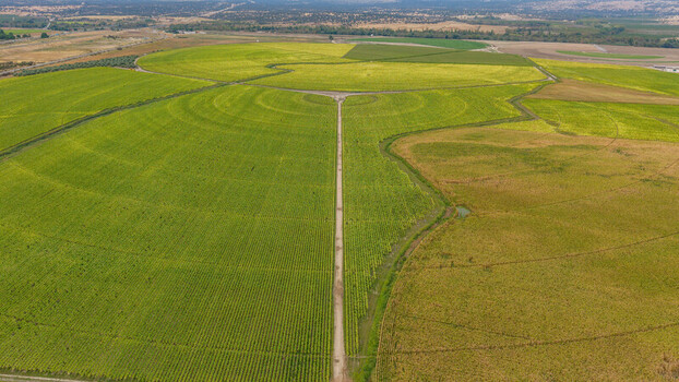 Aerial view of circular agricultural fields with irrigation systems vibrant green crops and dry patches under a clear sky in Talayuela Extremadura Spain. Aerial view of circular agricultural fields with irrigation systems vibrant green crops and dry patches under a clear sky in Talayuela Extremadura Spain.