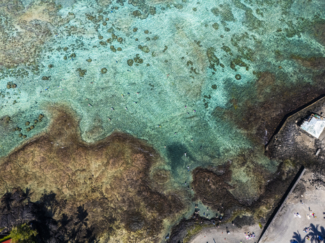 Aerial view of Kahalu u Beach Park with people snorkeling in turquoise waters over a vibrant coral reef along the rocky shoreline in Kailua Kona Hawaii United States. Aerial view of Kahalu u Beach Park with people snorkeling in turquoise waters over a vibrant coral reef along the rocky shoreline in Kailua Kona Hawaii United States.