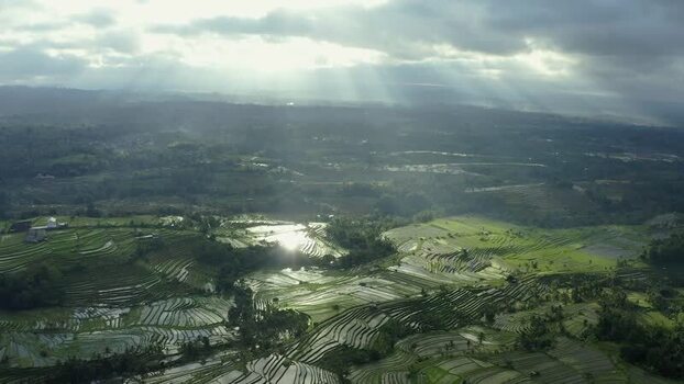 Aerial view of Jatiluwih rice terraces with sunbeams in Bali Indonesia.