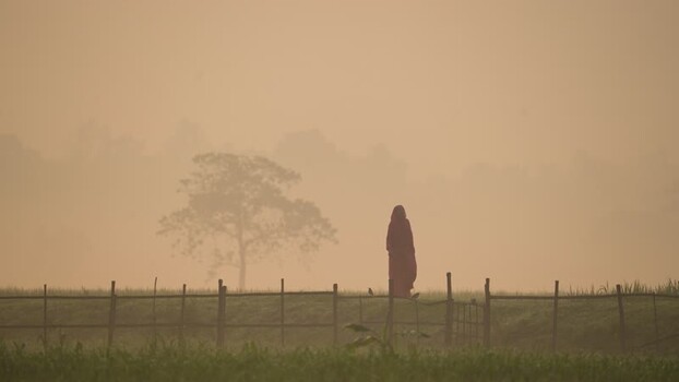View of a woman standing in a foggy field at sunrise Bangladesh.