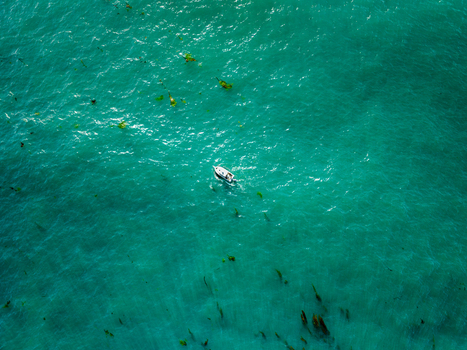 Aerial view of a small white boat cruising through turquoise waters with floating kelp at La Jolla Cove in San Diego California United States. Aerial view of a small white boat cruising through turquoise waters with floating kelp at La Jolla Cove in San Diego California United States.