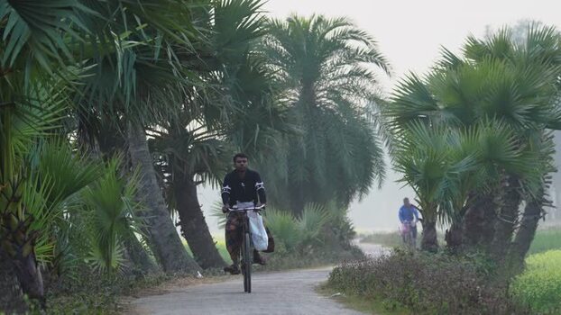View of a man riding a bicycle on a road with palm trees Bangladesh. View of a man riding a bicycle on a road with palm trees Bangladesh.