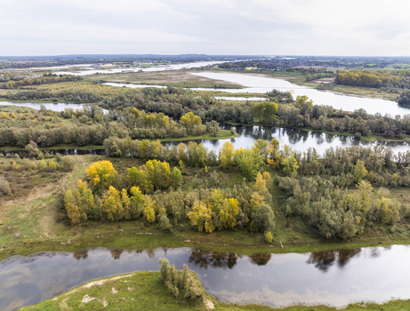 Aerial view of nature reserve Millingerwaard with meandering river channels vibrant autumn foliage and lush wetlands in front of village Millingen aan den Rijn Gelderland Netherlands.