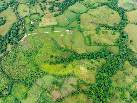 Aerial view of lush green farmland with rolling hills scattered trees and dirt paths in Rio San Juan Maria Trinidad Sanchez Dominican Republic. Aerial view of lush green farmland with rolling hills scattered trees and dirt paths in Rio San Juan Maria Trinidad Sanchez Dominican Republic.