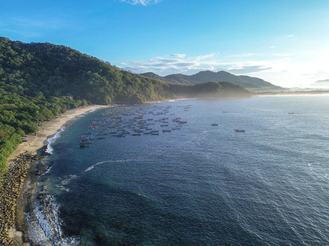 Aerial view of Papuma Beach with numerous small fishing boats anchored in the bay surrounded by lush green hills and a sandy coastline in Jember East Java Indonesia. Aerial view of Papuma Beach with numerous small fishing boats anchored in the bay surrounded by lush green hills and a sandy coastline in Jember East Java Indonesia.