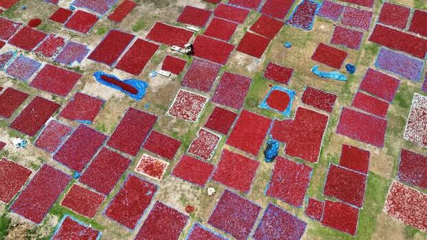 Aerial view of red chili peppers drying in fields Bangladesh. Aerial view of red chili peppers drying in fields Bangladesh.
