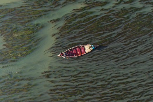 Aerial view of a small wooden boat with fishermen navigating through dense aquatic vegetation in the river in Joypurhat Rajshahi Division Bangladesh. Aerial view of a small wooden boat with fishermen navigating through dense aquatic vegetation in the river in Joypurhat Rajshahi Division Bangladesh.