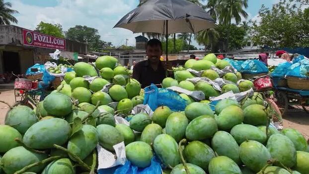View of a man selling green mangoes in Chapai Nawabganj Bangladesh.