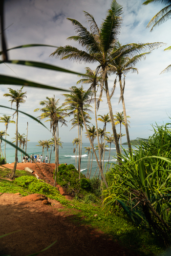 View of the iconic Coconut Tree Hill with tall palm trees on a red soil cliff overlooking the ocean and people gathered at the edge in Mirissa Southern Province Sri Lanka. View of the iconic Coconut Tree Hill with tall palm trees on a red soil cliff overlooking the ocean and people gathered at the edge in Mirissa Southern Province Sri Lanka.