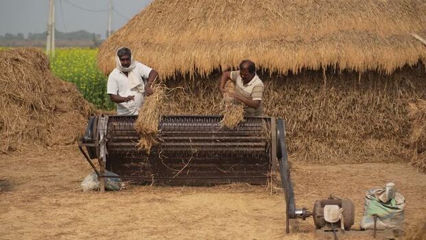 View of farmers using a mechanical thresher in Patna India.