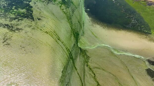 Aerial view of green algae patterns in Ria de Pontevedra Spain. Aerial view of green algae patterns in Ria de Pontevedra Spain.
