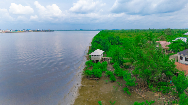 Aerial view of a small house on stilts along the lush riverbank with dense mangroves and calm water in Minima Rivers Nigeria.