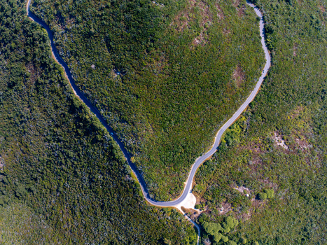 Aerial view of the winding road at Passo del Monumento surrounded by dense Mediterranean scrubland in Campo nell Elba Toscana Italy.