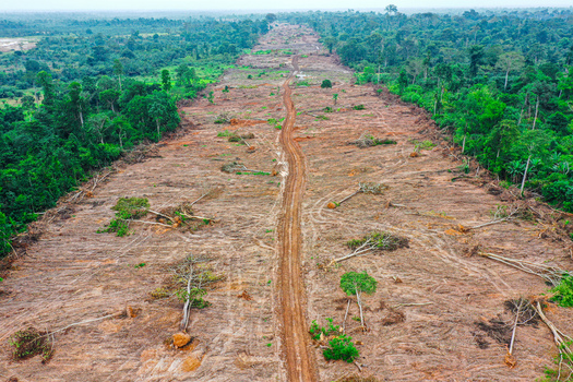 Aerial view of a cleared right of way through a dense tropical rainforest for construction of an express road linking the Greater Accra Region to Ashanti Region. This aerial view was taken at Asaso Ashanti Region Ghana.