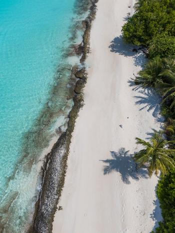 Aerial view of the shoreline where turquoise waters meet the pristine white sands and lush green vegetation of Vashafaru Island Vashafaru Island Thiladhummathi Atoll Maldives.