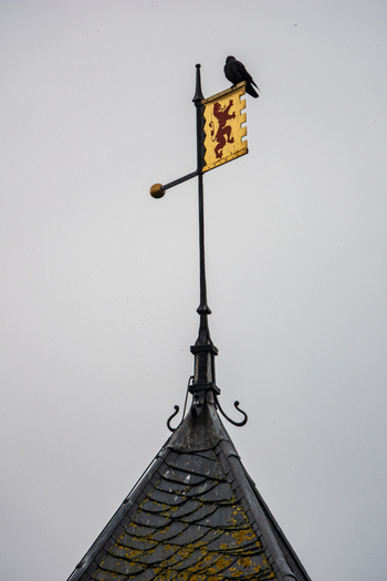 View of the Radboud Castle weather vane featuring a heraldic lion flag with a black bird perched on top against an overcast sky in Medemblik Noord Holland Netherlands. View of the Radboud Castle weather vane featuring a heraldic lion flag with a black bird perched on top against an overcast sky in Medemblik Noord Holland Netherlands.