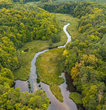 Aerial view of the winding Radunia river flowing through a lush green forest in Pomeranian Voivodeship Poland.