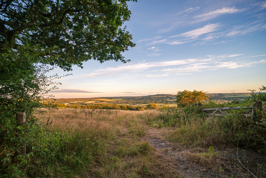 View of a rural landscape with a dirt path wooden fence and lush trees under a clear sky in Bodmin Cornwall United Kingdom. View of a rural landscape with a dirt path wooden fence and lush trees under a clear sky in Bodmin Cornwall United Kingdom.