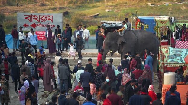 View of a crowd gathered around an elephant Bangladesh. View of a crowd gathered around an elephant Bangladesh.