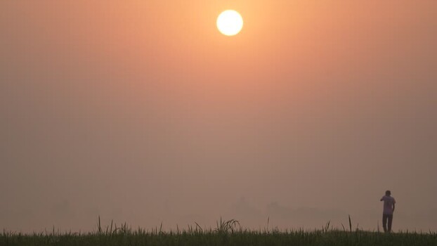 View of a person in a misty field at sunrise Bangladesh. View of a person in a misty field at sunrise Bangladesh.