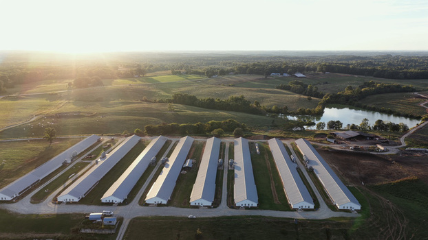 Aerial view of a large poultry farm with long parallel buildings situated among rolling green hills and a small pond under the warm light of sunset in Yanceyville North Carolina United States. Aerial view of a large poultry farm with long parallel buildings situated among rolling green hills and a small pond under the warm light of sunset in Yanceyville North Carolina United States.