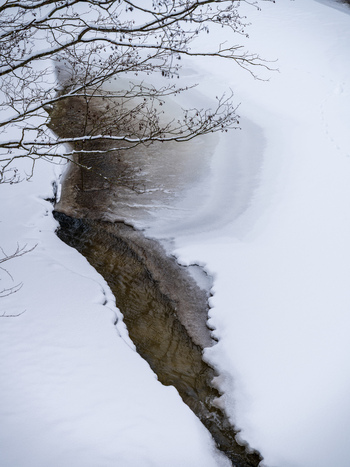 View of a narrow stream flowing through a snow covered landscape with bare tree branches hanging over the icy water in Vilnius Vilnius County Lithuania. View of a narrow stream flowing through a snow covered landscape with bare tree branches hanging over the icy water in Vilnius Vilnius County Lithuania.