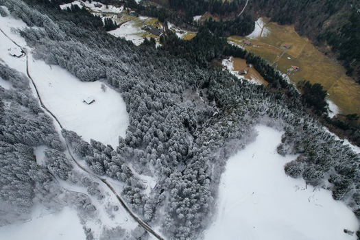 Aerial view of the Les Rives area featuring snow covered pine forests a winding mountain road and traditional alpine chalets nestled in the winter landscape of Champery Valais Switzerland.
