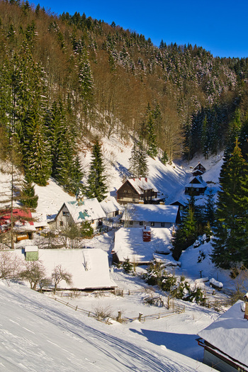 View of snow blankets quaint houses nestled amidst dense evergreen trees and rolling hills under a clear sky creating a picturesque winter scene Moce Slovakia.