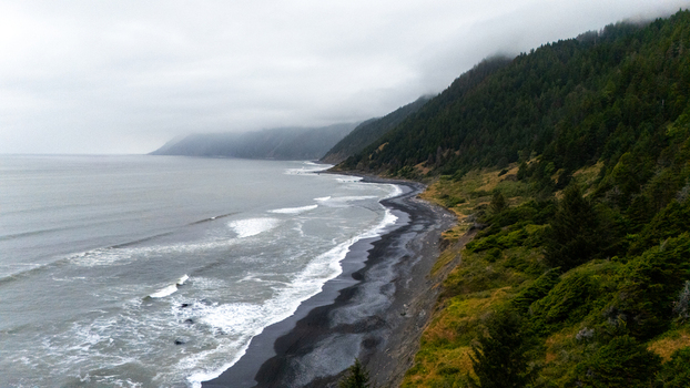 Aerial view of the rugged Lost Coast shoreline featuring dark sand beaches and dense evergreen forests under a misty sky in Humboldt County California United States.