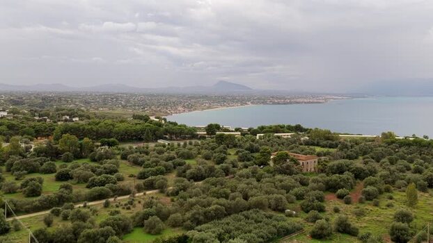 Aerial view of olive groves and coastal landscape in Italy.