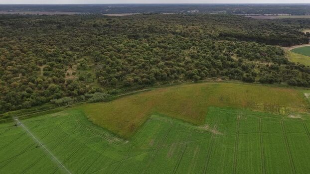 Aerial view of green agricultural fields and dense forest Portugal.