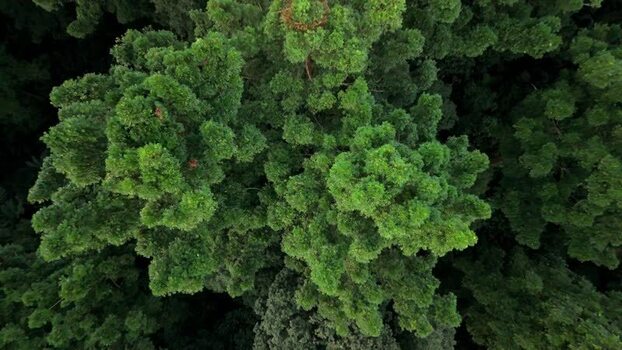 Aerial view of dense green forest canopies in Sukabumi Indonesia. Aerial view of dense green forest canopies in Sukabumi Indonesia.
