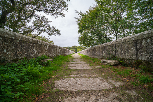View of the historic stone Treffry Viaduct surrounded by lush woodland and greenery in Luxulyan Bodmin Cornwall United Kingdom. View of the historic stone Treffry Viaduct surrounded by lush woodland and greenery in Luxulyan Bodmin Cornwall United Kingdom.